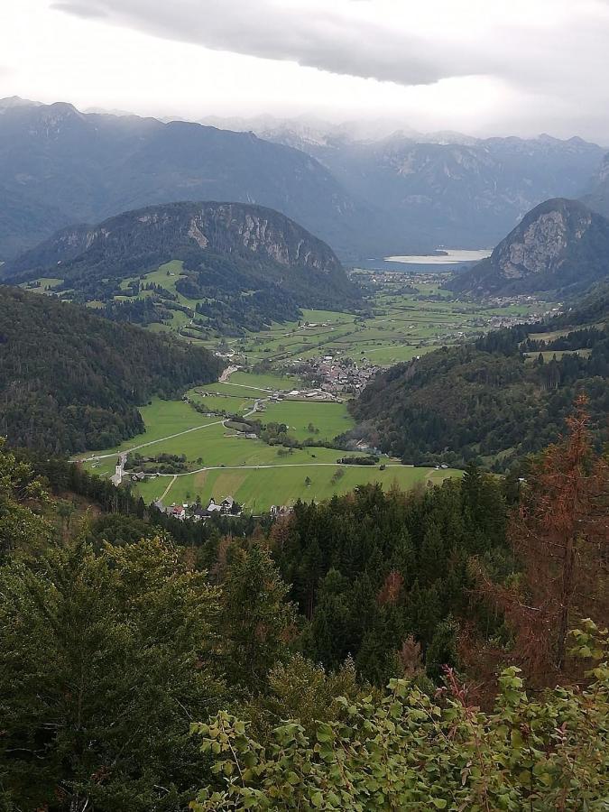 Soba Pri Bregarju Nastanitev v družini Bohinj